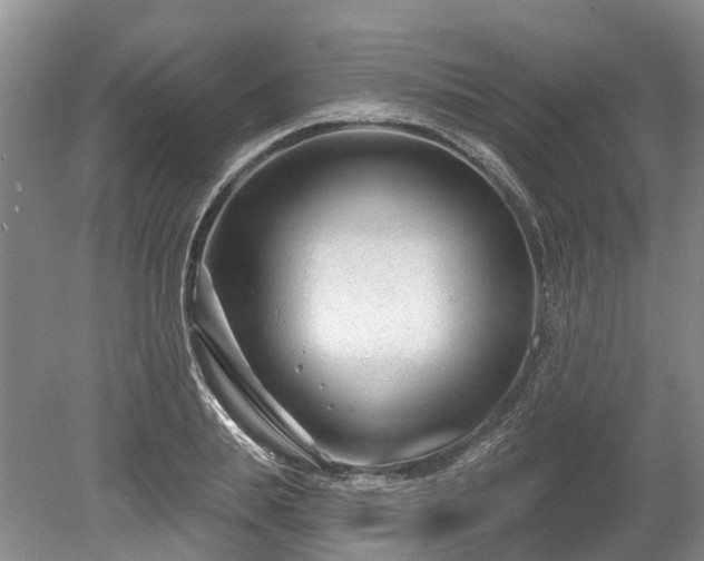 X0000078890839200611201434