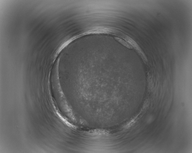 X0000078890842200611201434