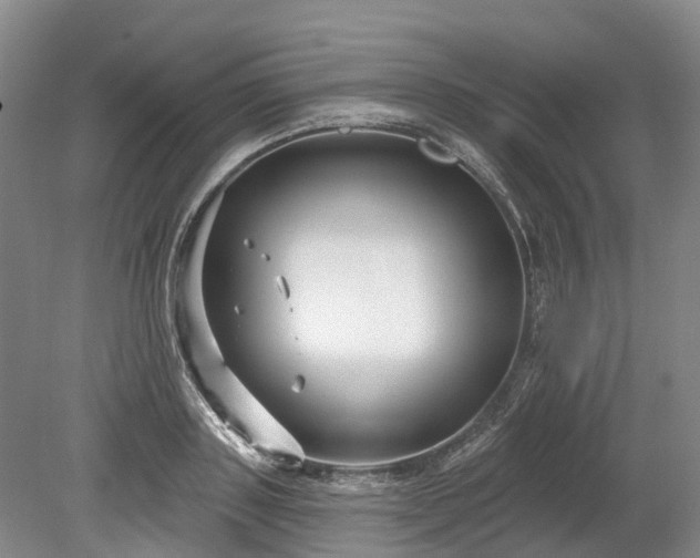 X0000078890843200611201434