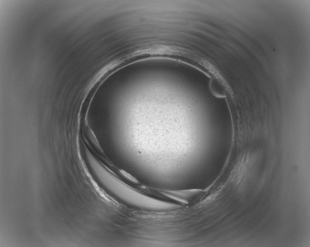 X0000078890845200611201434