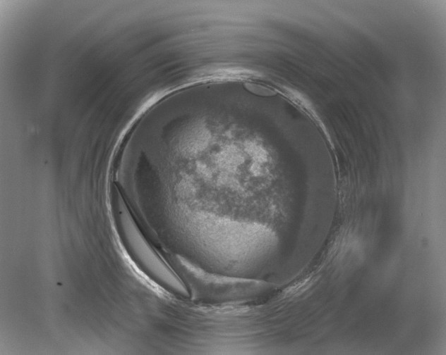 X0000078890851200611201435