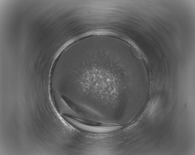 X0000078890853200611201435