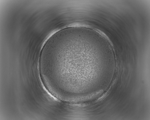 X0000078890855200611201435