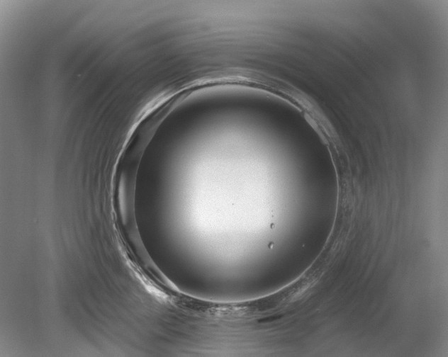 X0000078890858200611201435