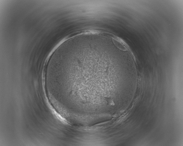 X0000078890859200611201435