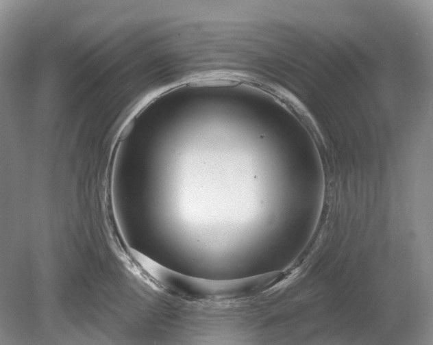 X0000078890860200611201435