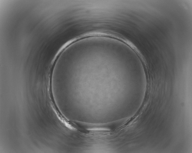 X0000078890862200611201435