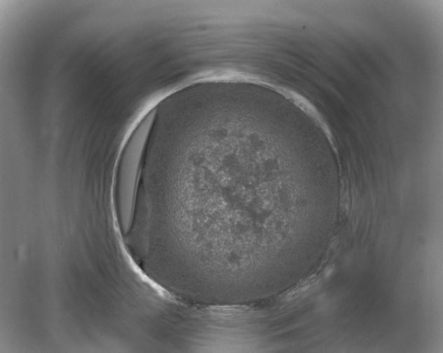 X0000078890863200611201435