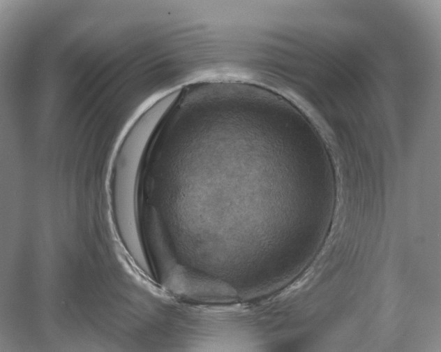 X0000078890864200611201435