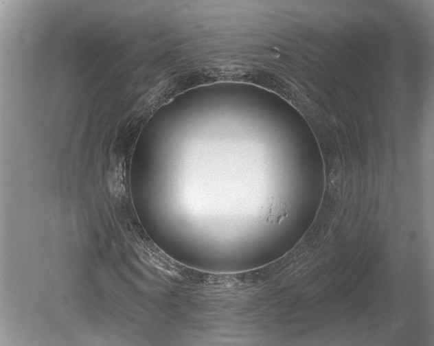 X0000078890866200611201434