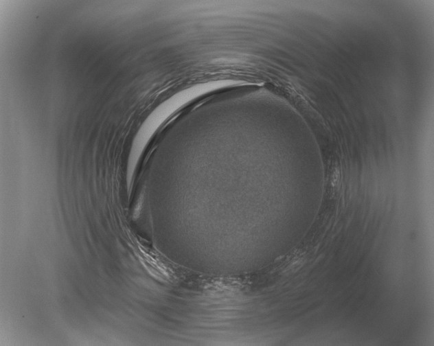 X0000078890868200611201434