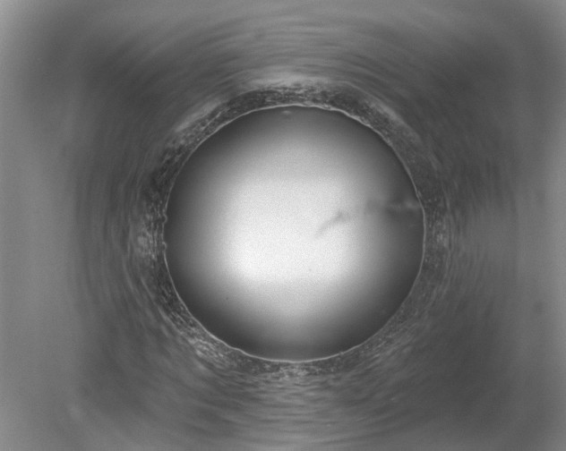 X0000078890869200611201434