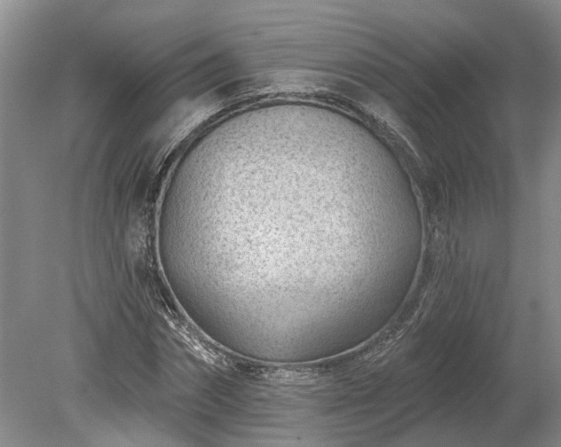 X0000078890874200611201434