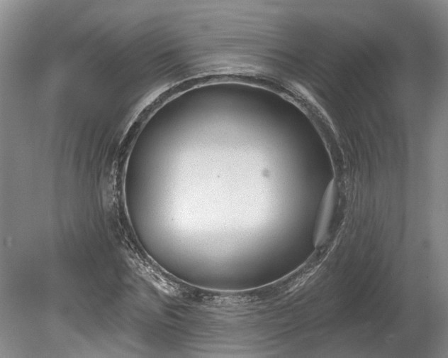 X0000078890875200611201434