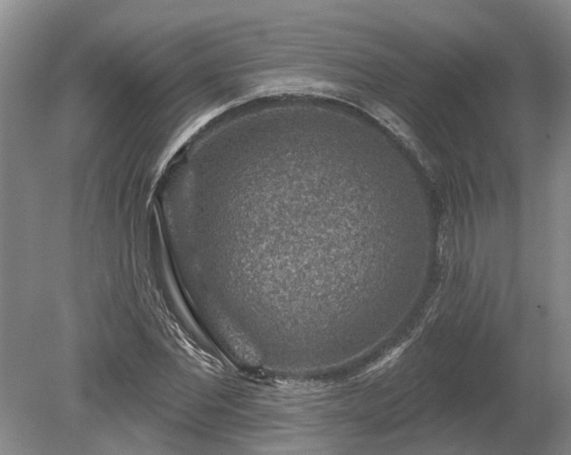 X0000078890877200611201434