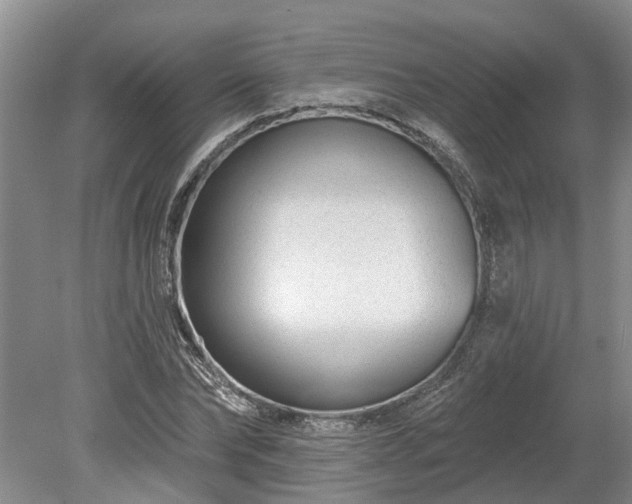 X0000078890878200611201434