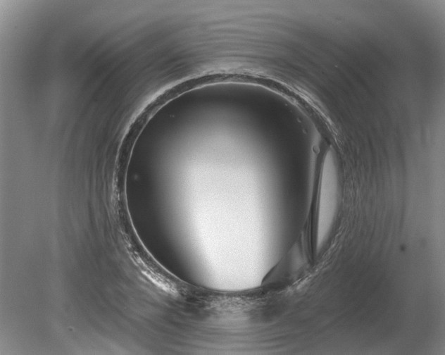 X0000078890880200611201434