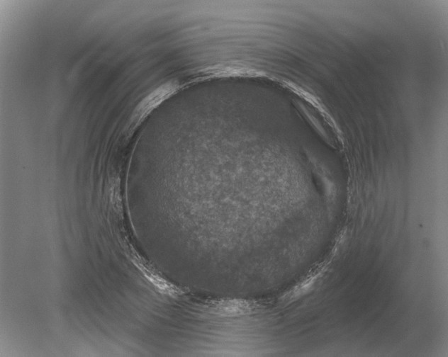 X0000078890881200611201434