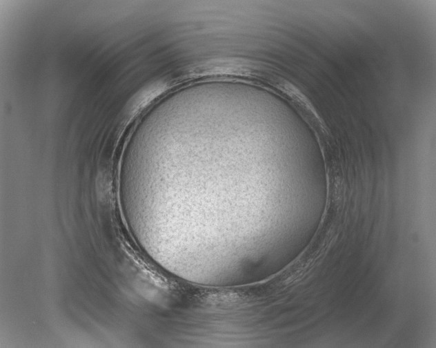 X0000078890882200611201434