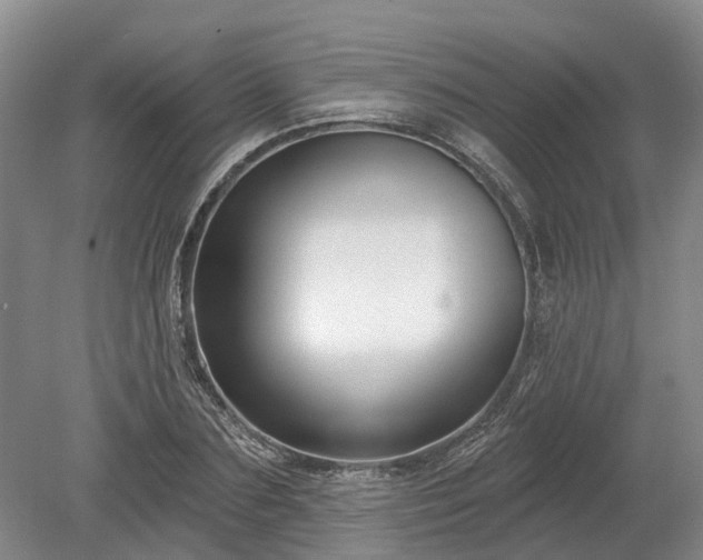 X0000078890883200611201434