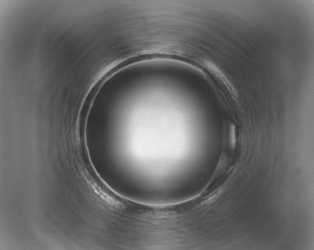 X0000078890884200611201434