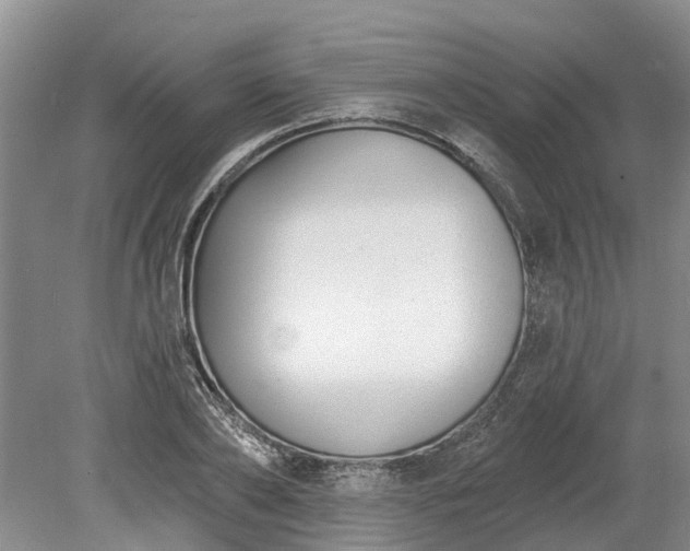 X0000078890886200611201434