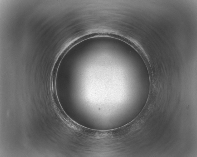 X0000078890887200611201434