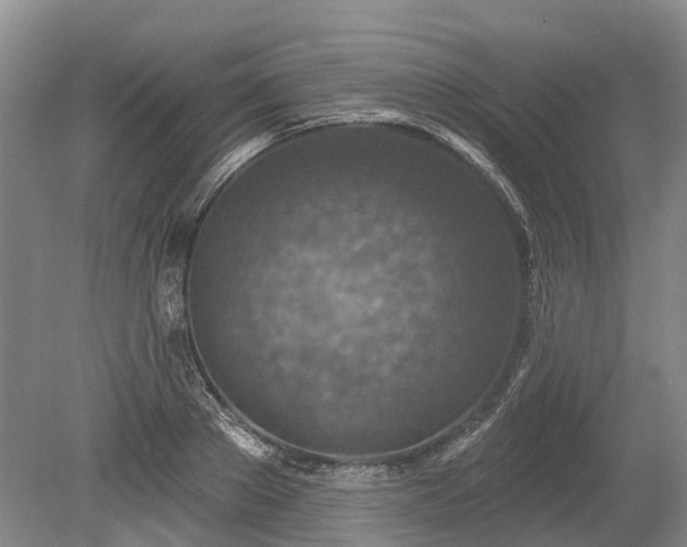 X0000078890889200611201434