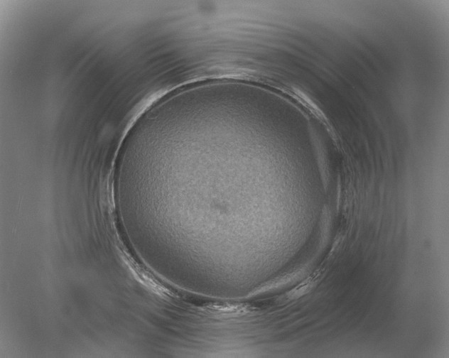 X0000078890891200611201434