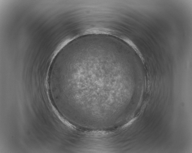 X0000078890893200611201434