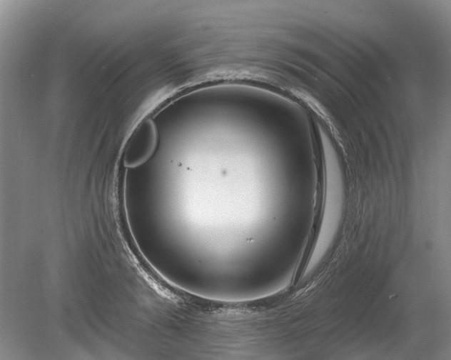 X0000078890894200611201433