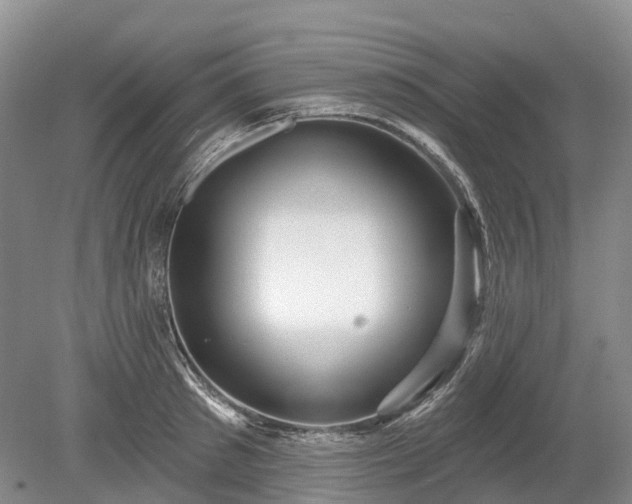 X0000078890897200611201433