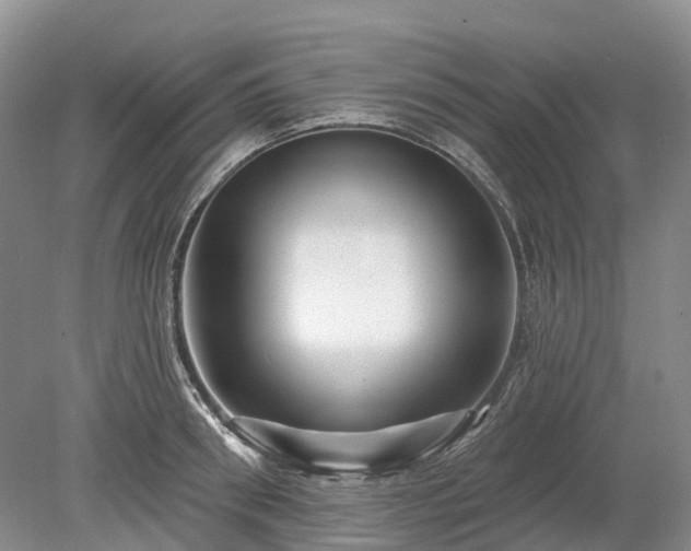 X0000078890898200611201433