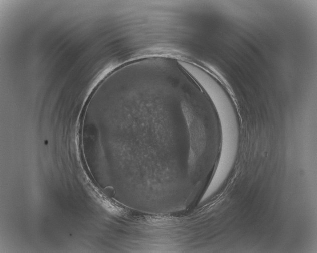 X0000078890899200611201433