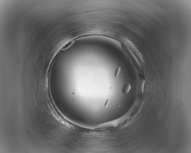 X0000078890900200611201433