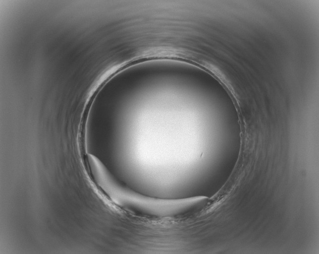 X0000078890901200611201433