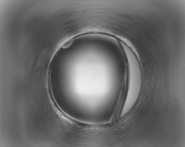 X0000078890903200611201433