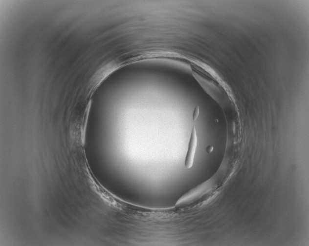 X0000078890905200611201433