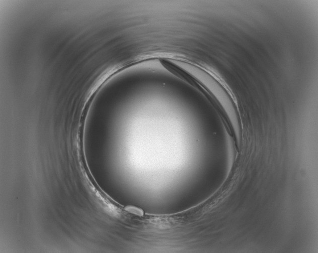 X0000078890906200611201433