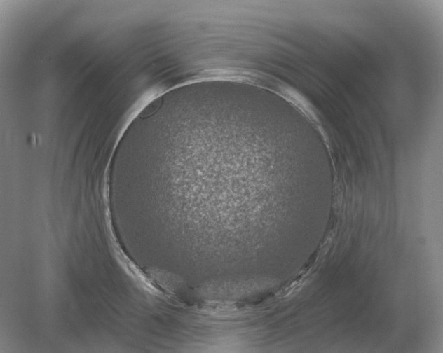 X0000078890907200611201433