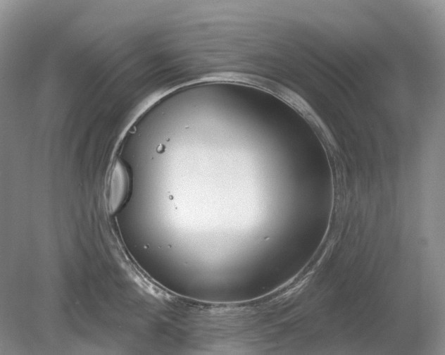 X0000078890908200611201433