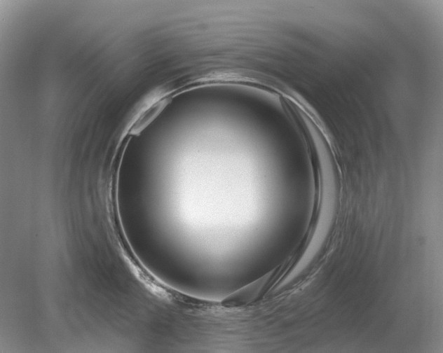 X0000078890909200611201433