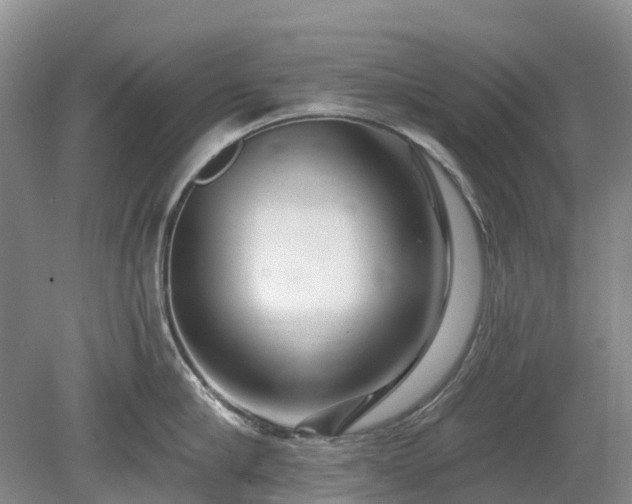 X0000078890910200611201433