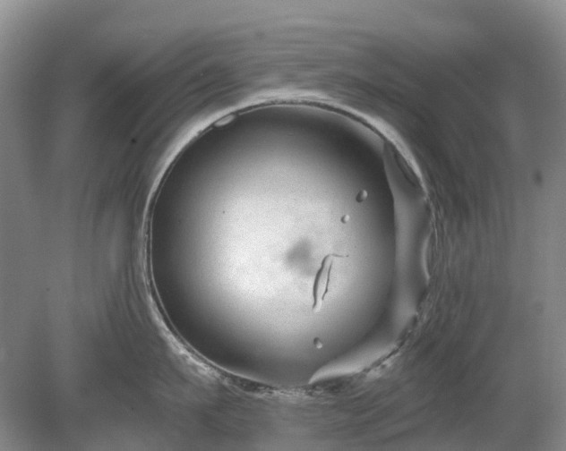 X0000078890911200611201433