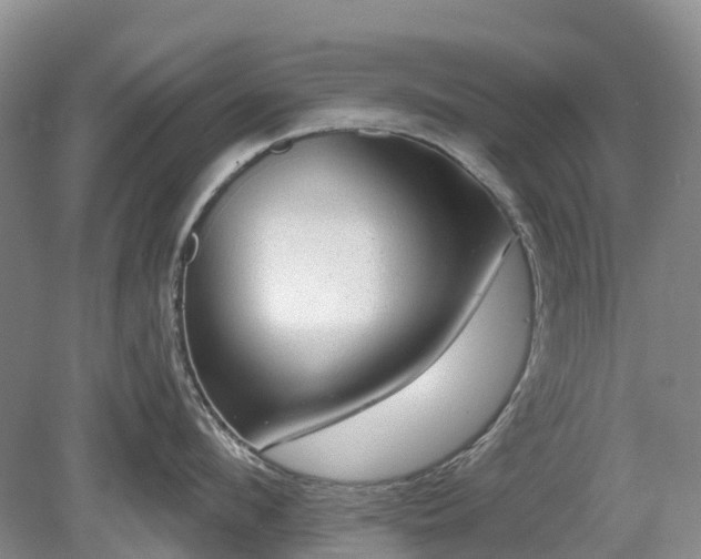 X0000078890912200611201433