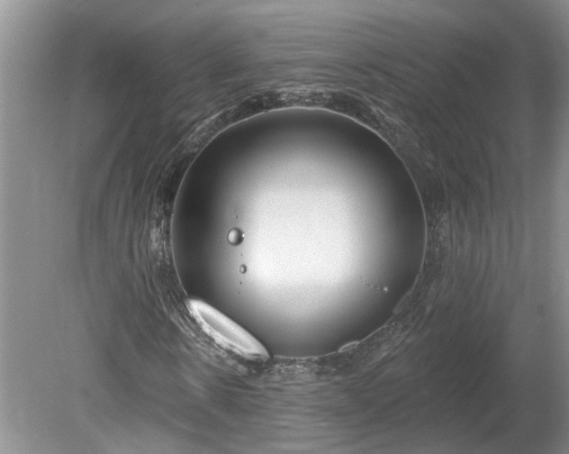 X0000078890914200611201432