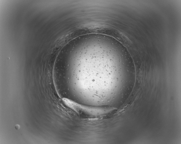 X0000078890917200611201432