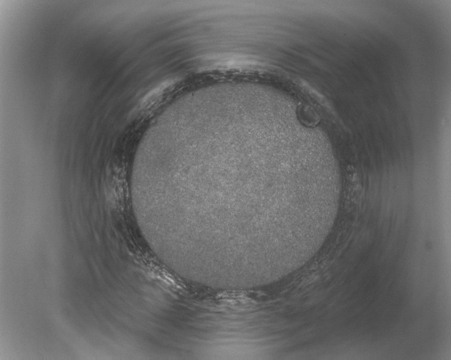 X0000078890918200611201432