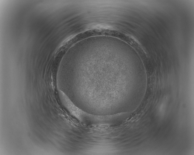 X0000078890919200611201432