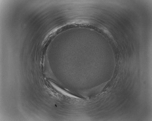 X0000078890920200611201432